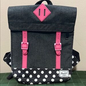 Herschel Supply Company Gray and Pink Bags with Modern Design